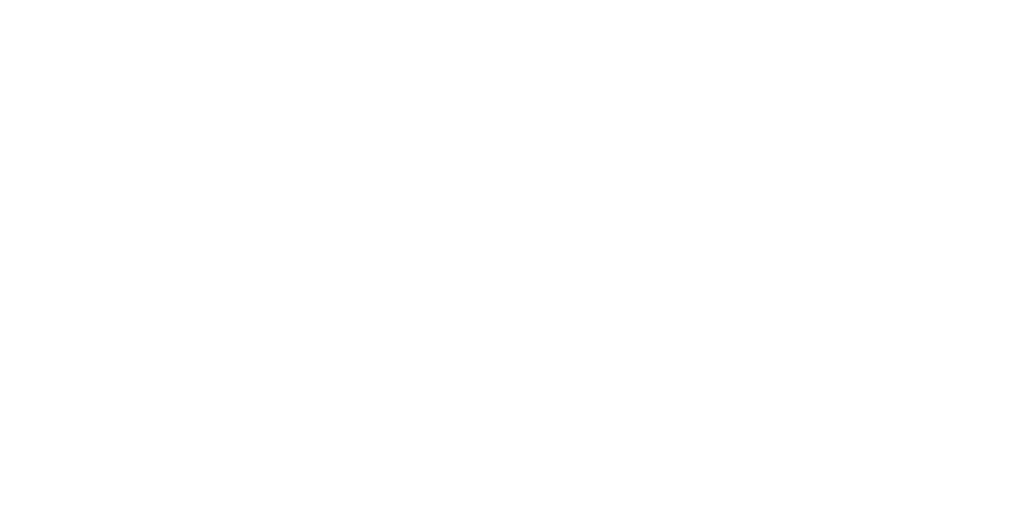 Invests Fund 369